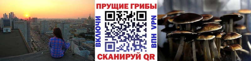 Галлюциногенные грибы Psilocybine cubensis  продажа наркотиков  Кедровый 
